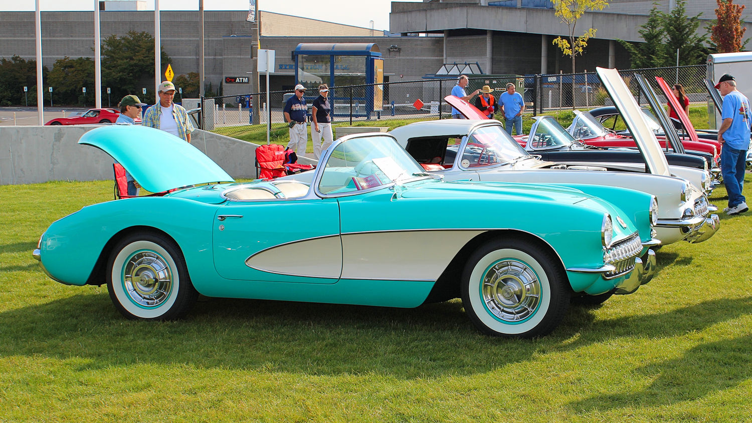 Click to Enlarge-Esc to Close Corvette Generations/C1/C1 1956 Cascade Green - Beige 3.jpg